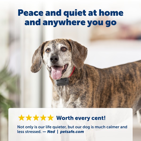 PetSafe Premium Bark Control Collar PBC19-10765