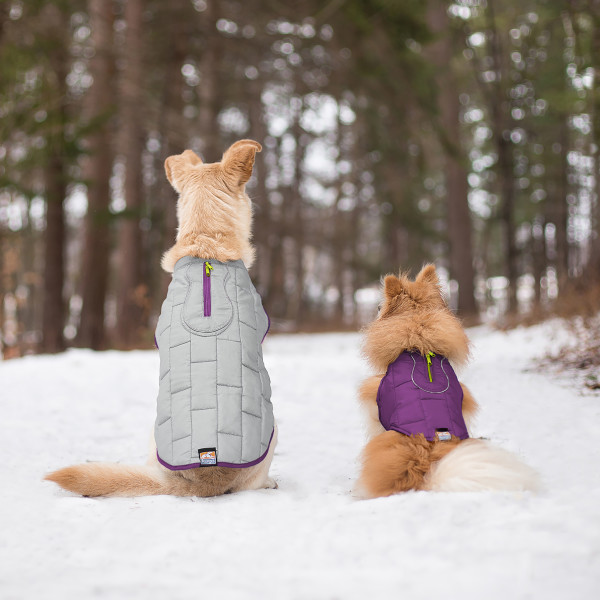 Kurgo Loft Dog Jacket M DEEP VIOLET-GREY - M