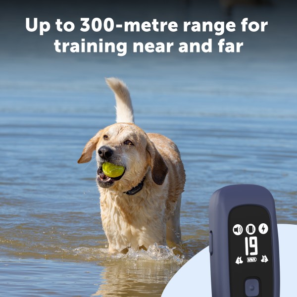 PetSafe Pro Kiegészítő Plusz Nyakörv