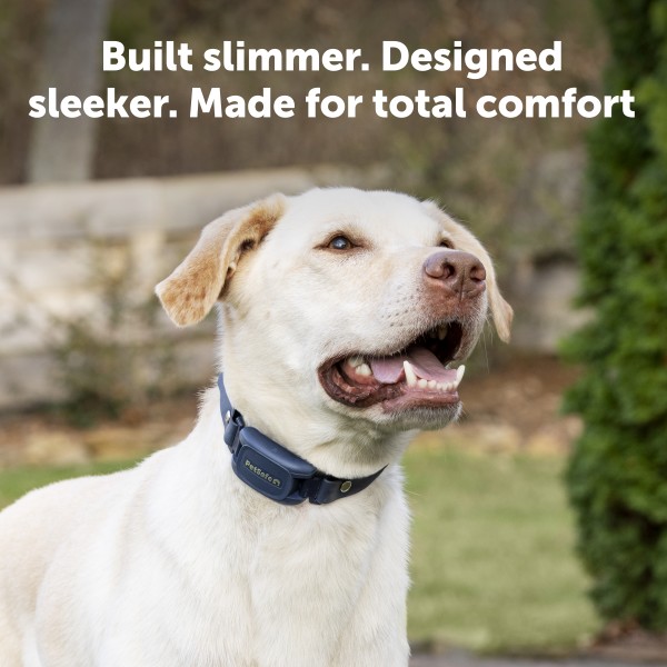 PetSafe Pro Kiegészítő Plusz Nyakörv