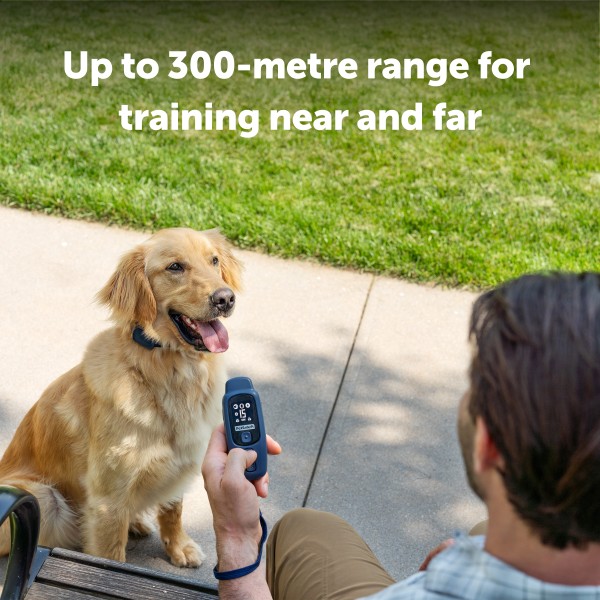 PetSafe Core Kiegészítő Plusz Nyakörv