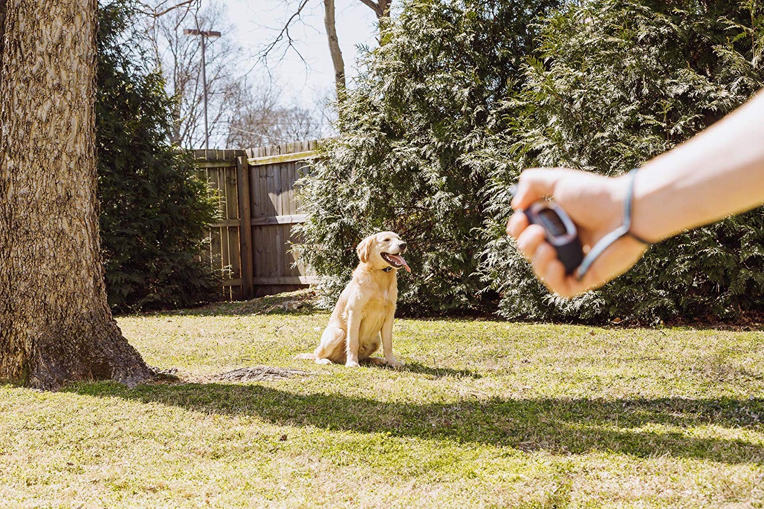 PetSafe Spray Kiképző Nyakörv 300 méter