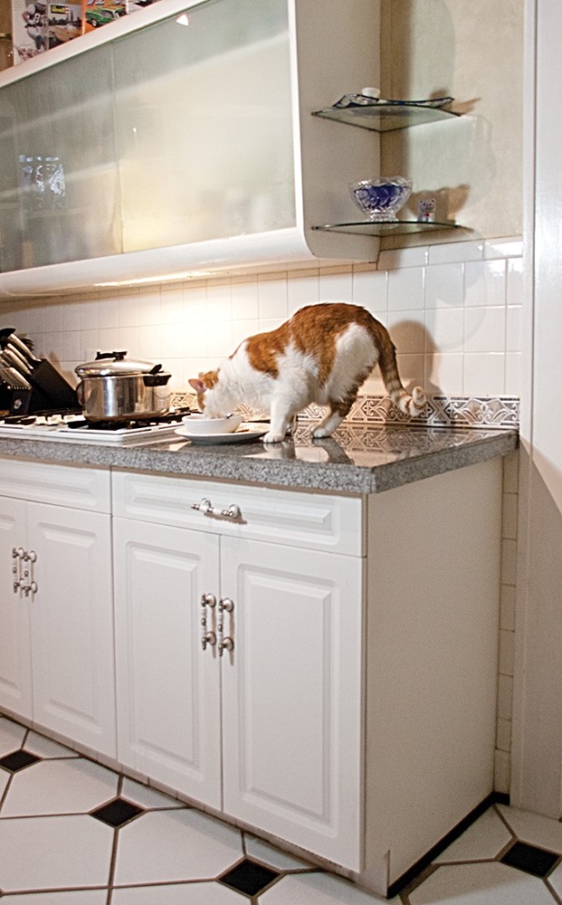 MINI kisállat kerítés PetSafe PAWZ AWAY Kültéri - Beltéri