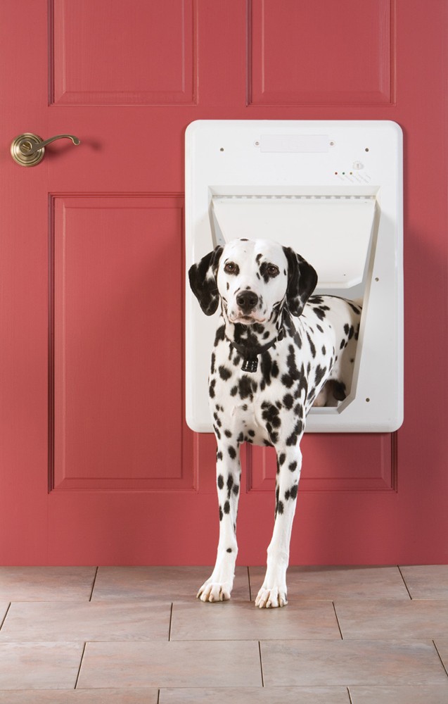 PetSafe SmartDoor Elektronikus Kutyaajtó (Nagyméretű) Lengőajtó mérete 330mm X 406mm