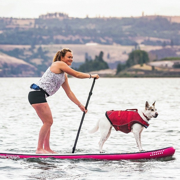 Kurgo Surf N Turf  - M - Dog Life Kutya mentőmellény - M