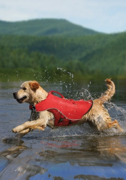 Kurgo Surf N Turf  - M - Dog Life Kutya mentőmellény - M