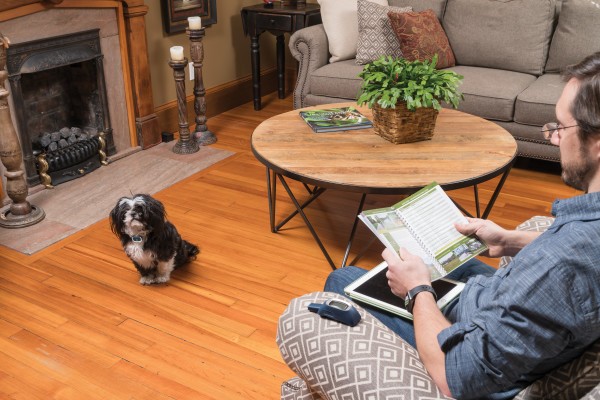 PetSafe 300 MÉTERES  LITE Elektromos Kiképző Nyakörv