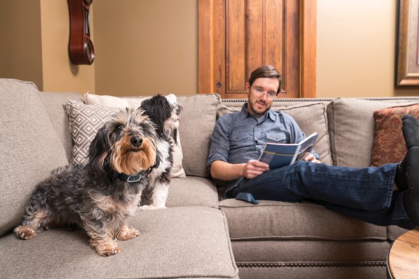 PetSafe 300 MÉTERES  LITE Elektromos Kiképző Nyakörv