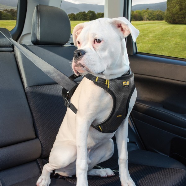 Kurgo Impact Harness Black/Charcoal - S