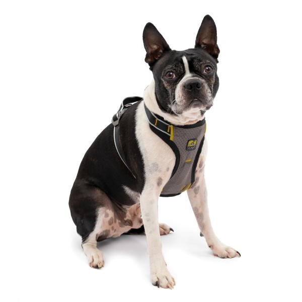 Kurgo Impact Harness Black/Charcoal - S