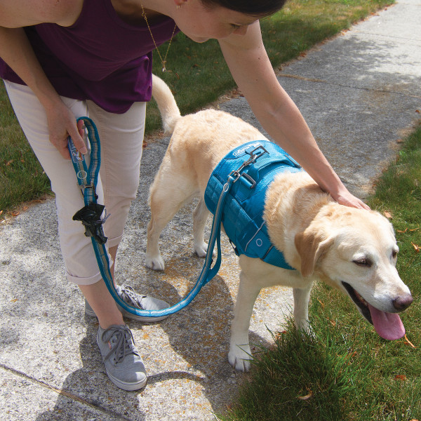 Kurgo RSG Stub Póráz, 142cm