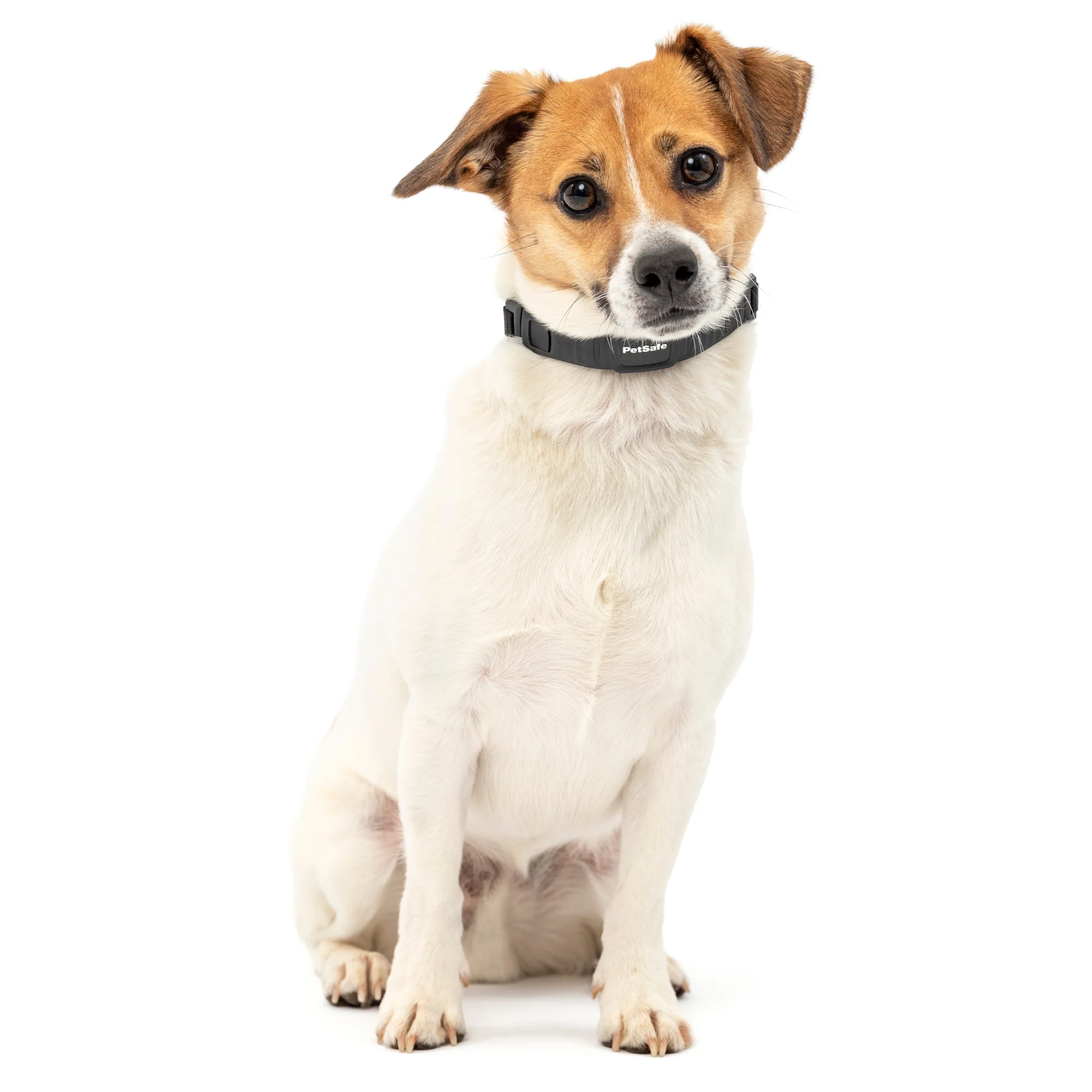  PetSafe NanoBark™ Collar