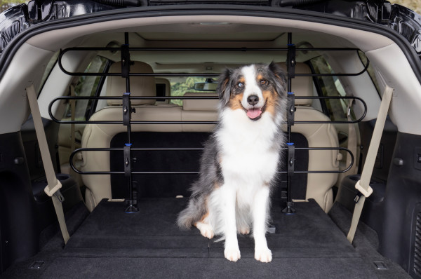 PetSafe Autós fém védőrács kutyáknak