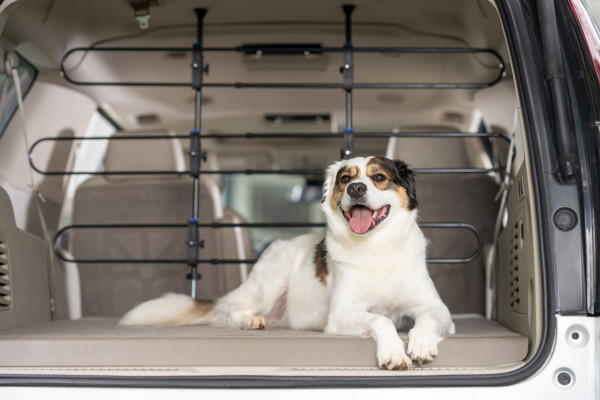 PetSafe Autós fém védőrács kutyáknak
