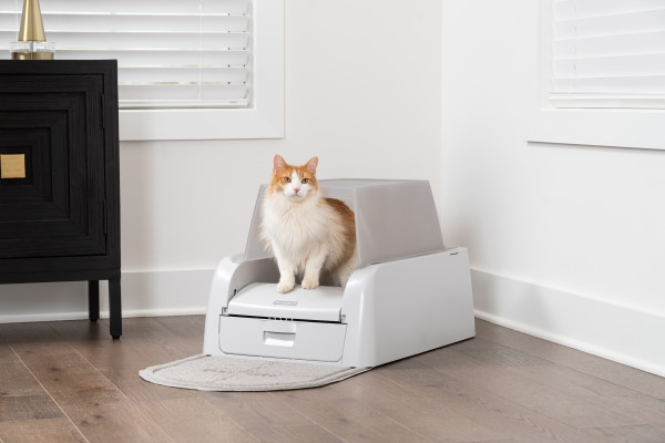 PetSafe ScoopFree Clumping Öntisztító Kutya-Macska Alomtisztítógép TETŐ és tartozék csomag
