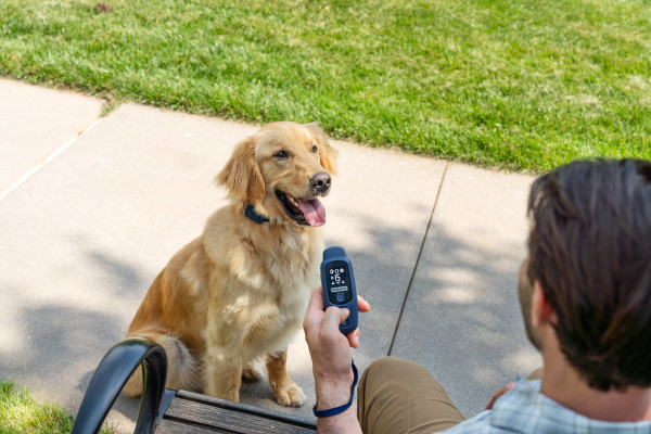 PetSafe 300 MÉTERES  Core Elektromos Kiképző Nyakörv