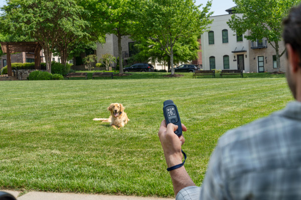 PetSafe 300 MÉTERES  Core Elektromos Kiképző Nyakörv