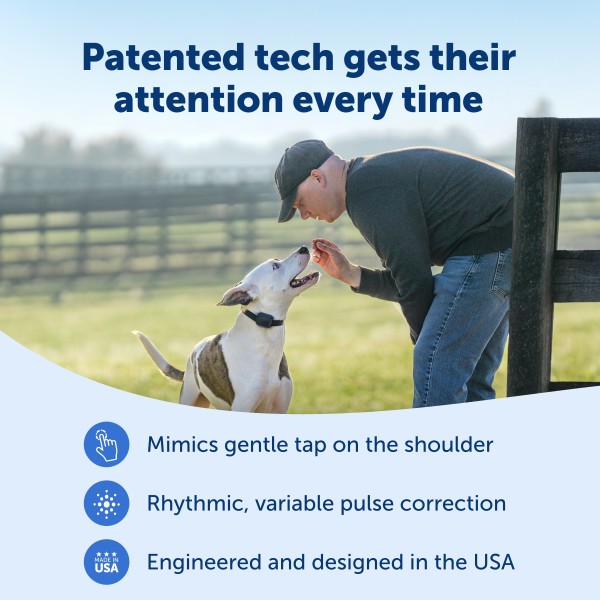 PetSafe 300 MÉTERES  Core Elektromos Kiképző Nyakörv