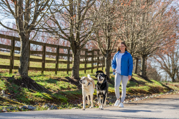 PetSafe 300 MÉTERES  Pro Elektromos Kiképző Nyakörv