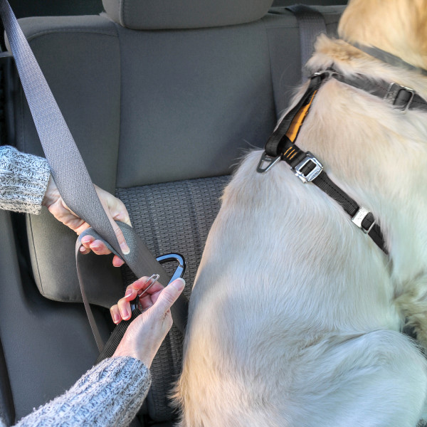 Kurgo Smart Tru-Fit - L - Töréstesztelt Autós Kutyahám - megnövelt szilárdságú - Fekete