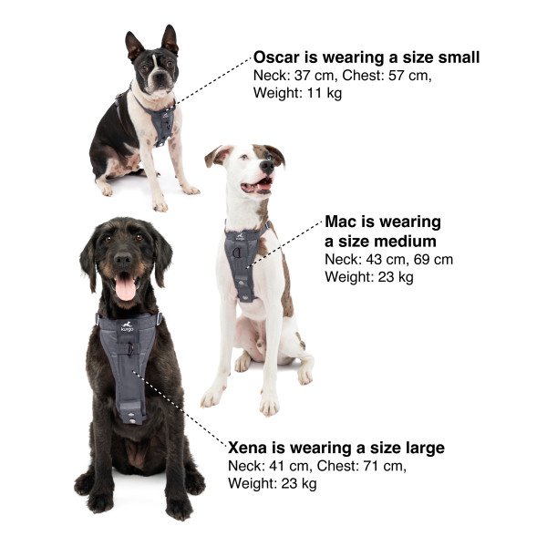 Kurgo Smart Tru-Fit - XL - Töréstesztelt Autós Kutyahám - megnövelt szilárdságú - Fekete