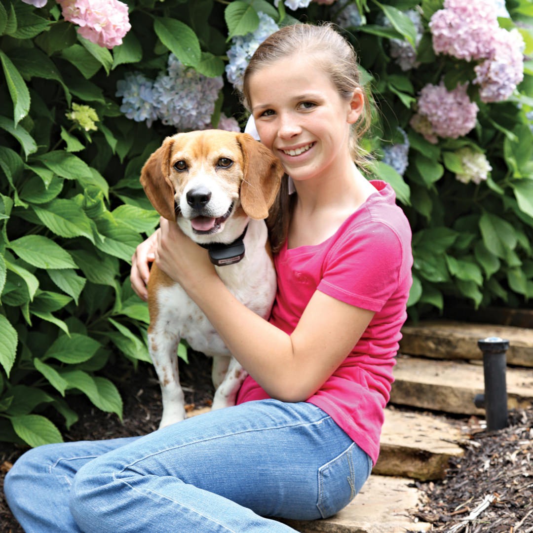 PetSafe kutyakerítés ÚJRATÖLTHETŐ  nyakörvvel