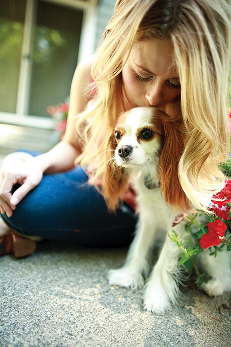 Petsafe kutyakerítés kistestű kutyáknak vagy macskáknak is