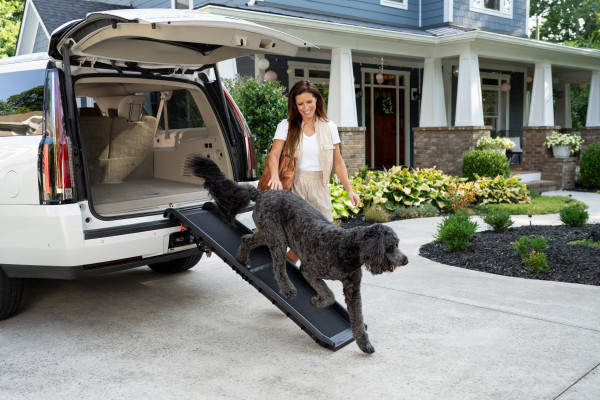 Ultrakönnyű BI-FOLD kutyarámpa (90 kg súlyig - 155 cm -ig) a Petsafetől