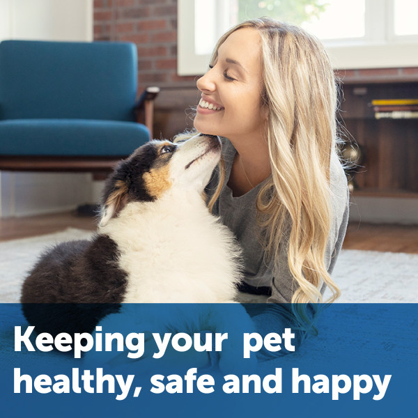 PetSafe® Ultrahangos Kutyakiképző tréner PUPT-100-19