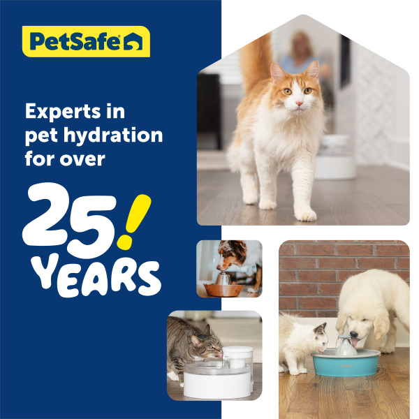 PetSafe® Outlast™  Kisállat Önitató 1.7 literes