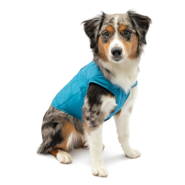 Kurgo Loft Dog Jacket M  COASTAL BLUE-ORANGE - M