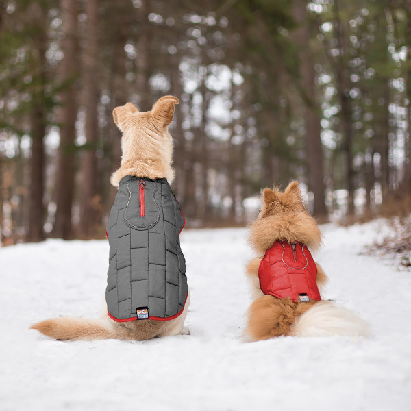 Kurgo Loft Dog Jacket S CHILI RED-CHARCOAL- S
