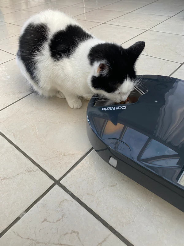 Cat Mate C500 5 adagos automata etető rozsdamentes acél tállal - Closer Pets- Szürke