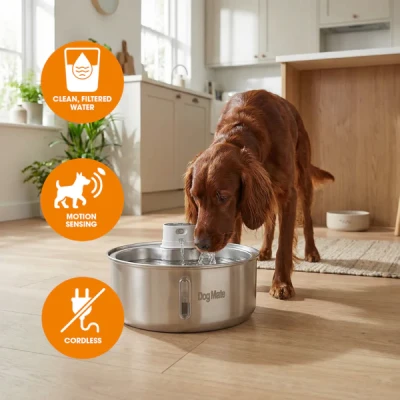 Dog Mate 8 Literes Rozsdamentes Acél Kisállat Ivókút - ÖNITATÓ (830) - CloserPets